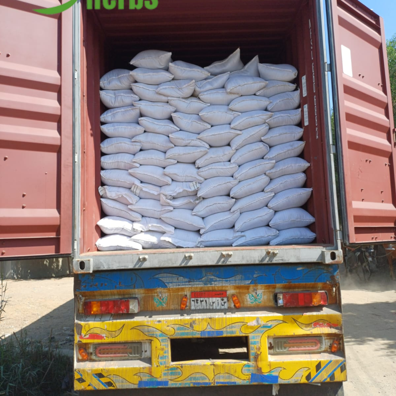 Containers and Shipments 