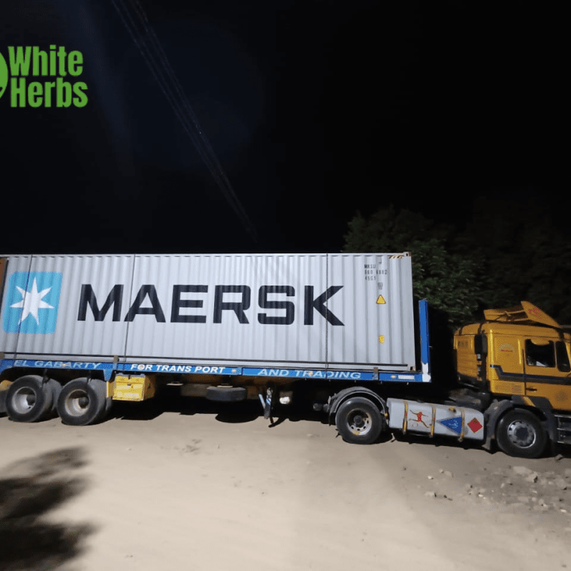 Containers and Shipments 