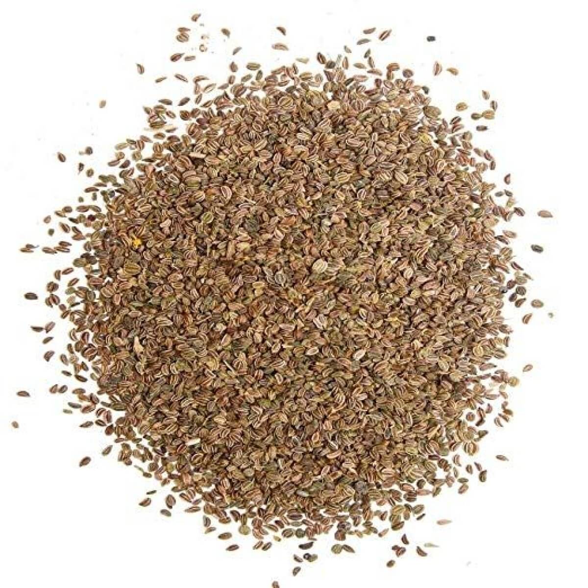 Celery Seeds