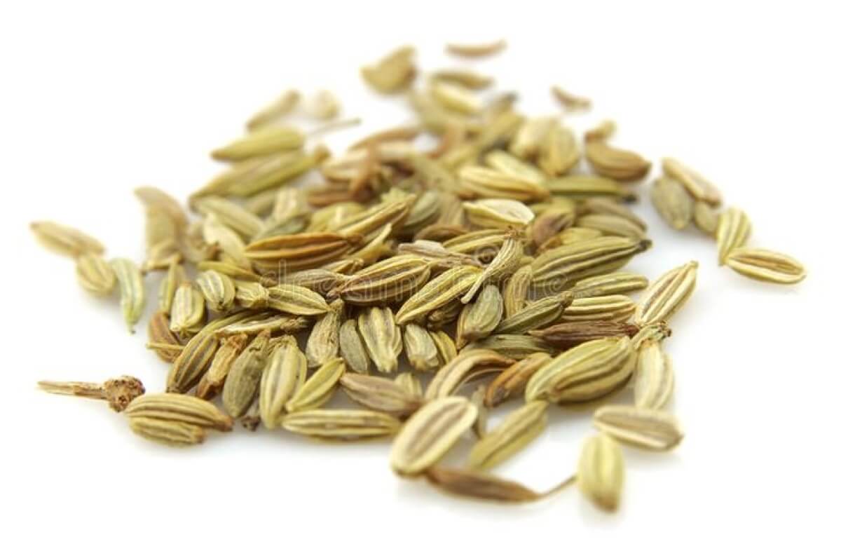 Fennel Seeds