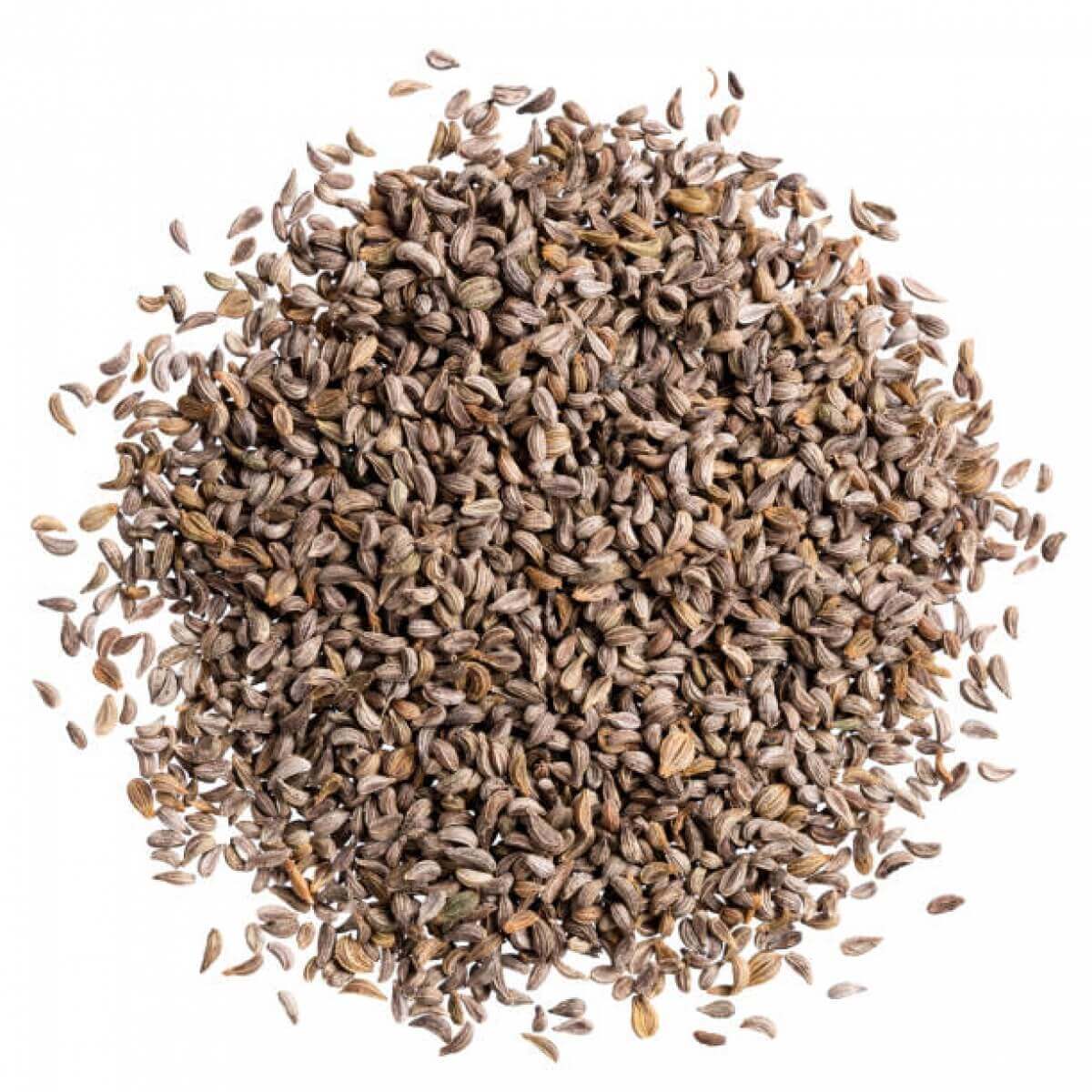 بذور البقدونس