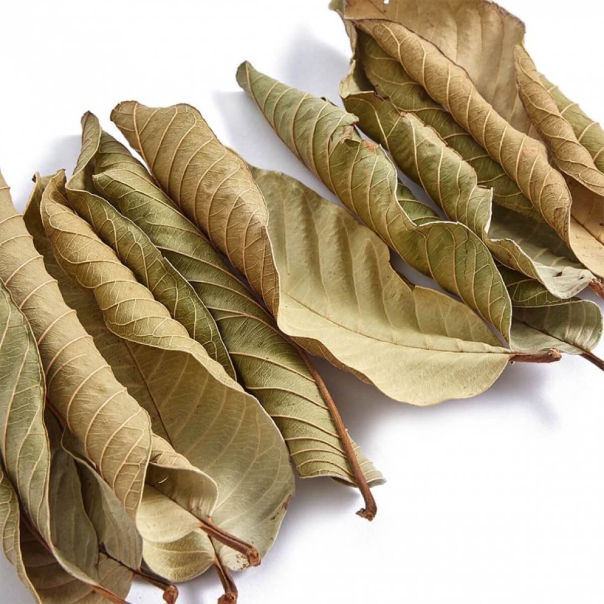 Dried Guava Leaves