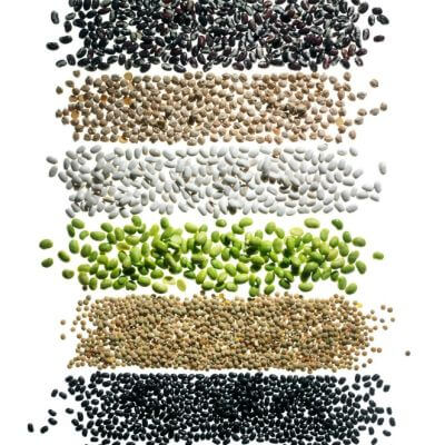 Seeds